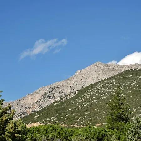 Twin Peaks Retreat By Alure Appartamento