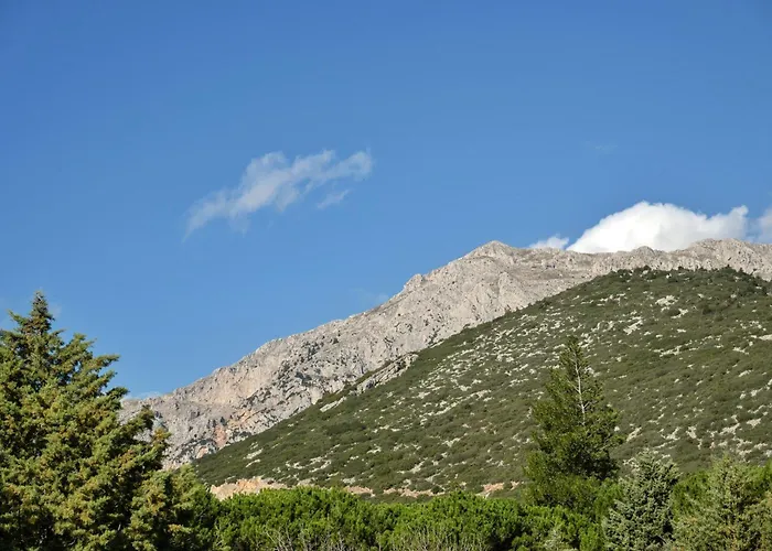 Twin Peaks Retreat By Alure Appartamento